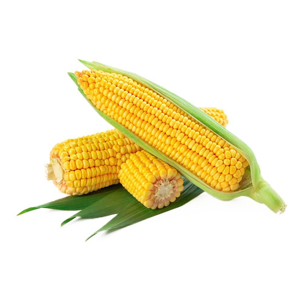 nana corn Nana - (F1) Corn Seed - SeedsDay